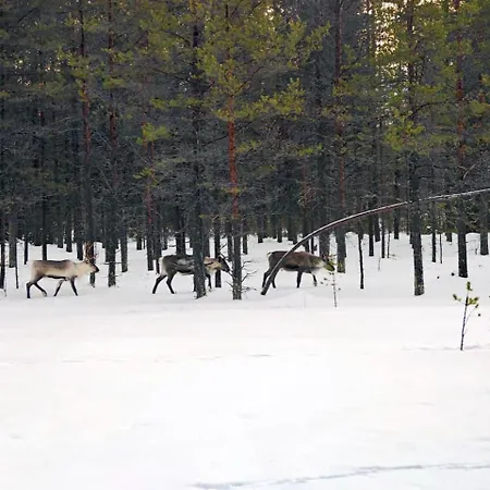 Borealis Village 1 With A Nature View, Fireplace, Sauna, Kitchen * Muonio