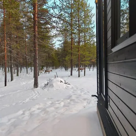 Hébergement de vacances Borealis Village 1 With A Nature View, Fireplace, Sauna, Kitchen Muonio